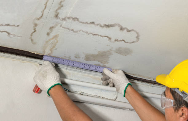 Reliable Water Damage contractor in Peoa, UT by Water Damage Irwin